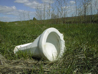 Жанровая быт